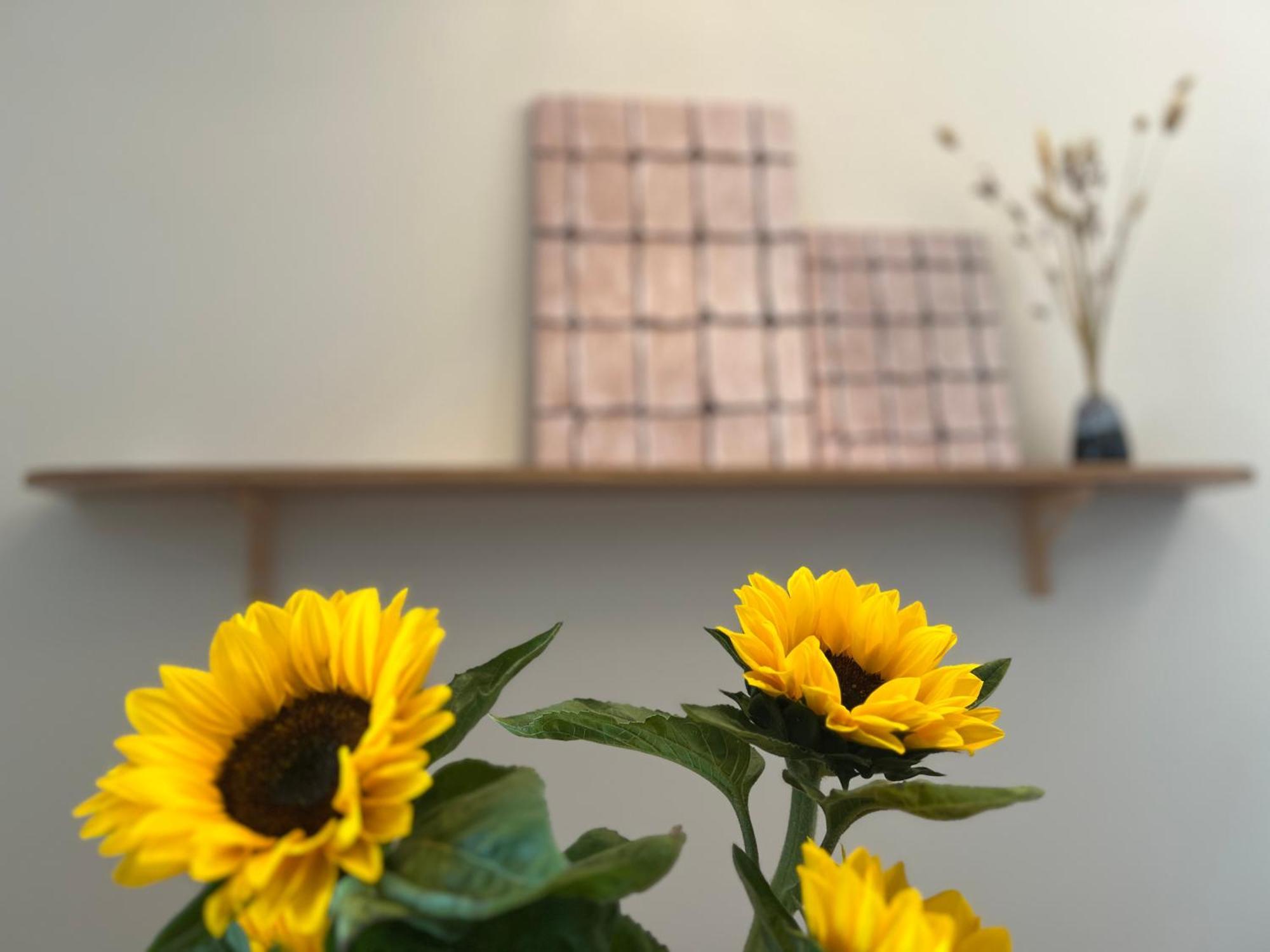 Tan Thanh Hoi An Pinus Boutique酒店 外观 照片