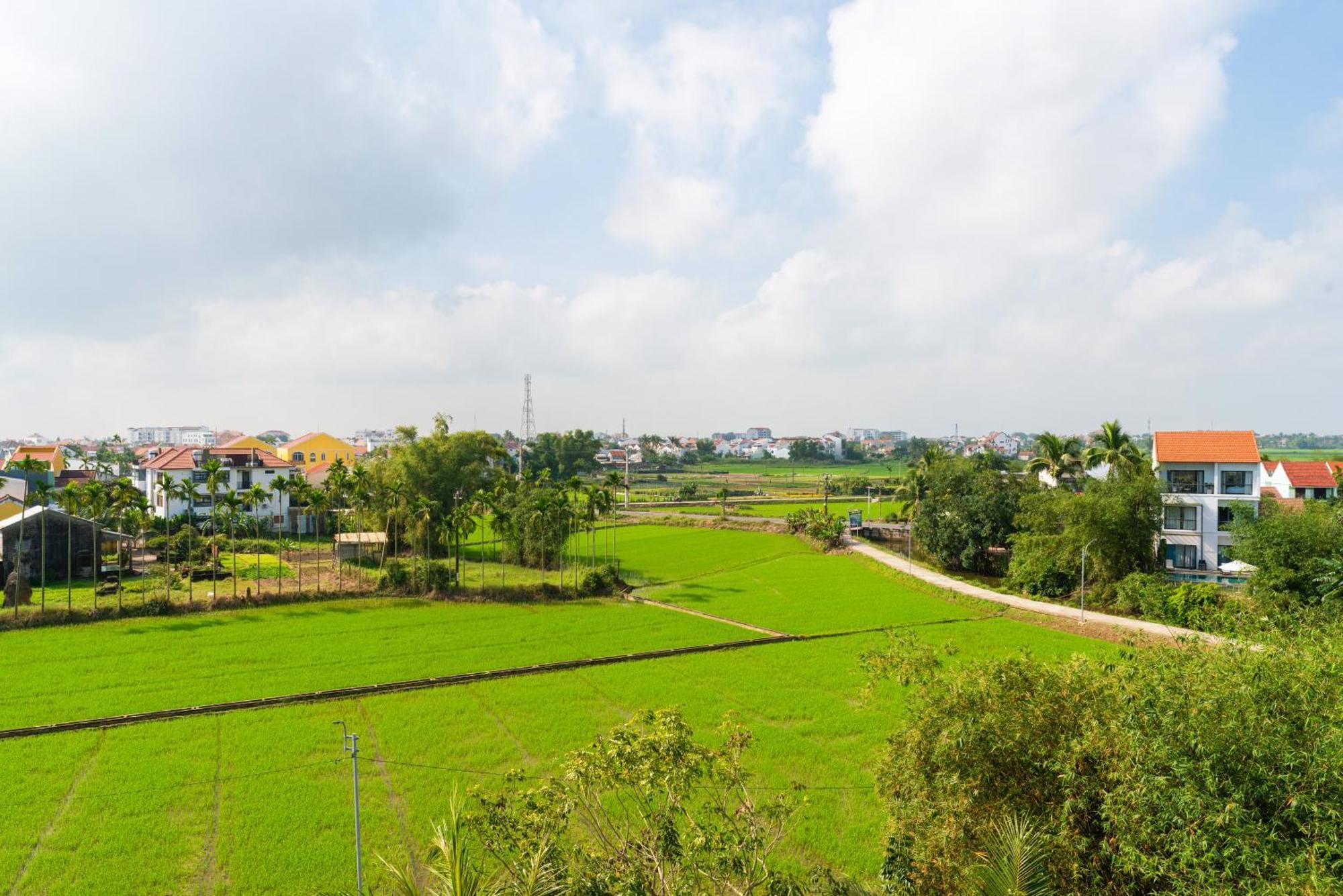 Tan Thanh Hoi An Pinus Boutique酒店 外观 照片