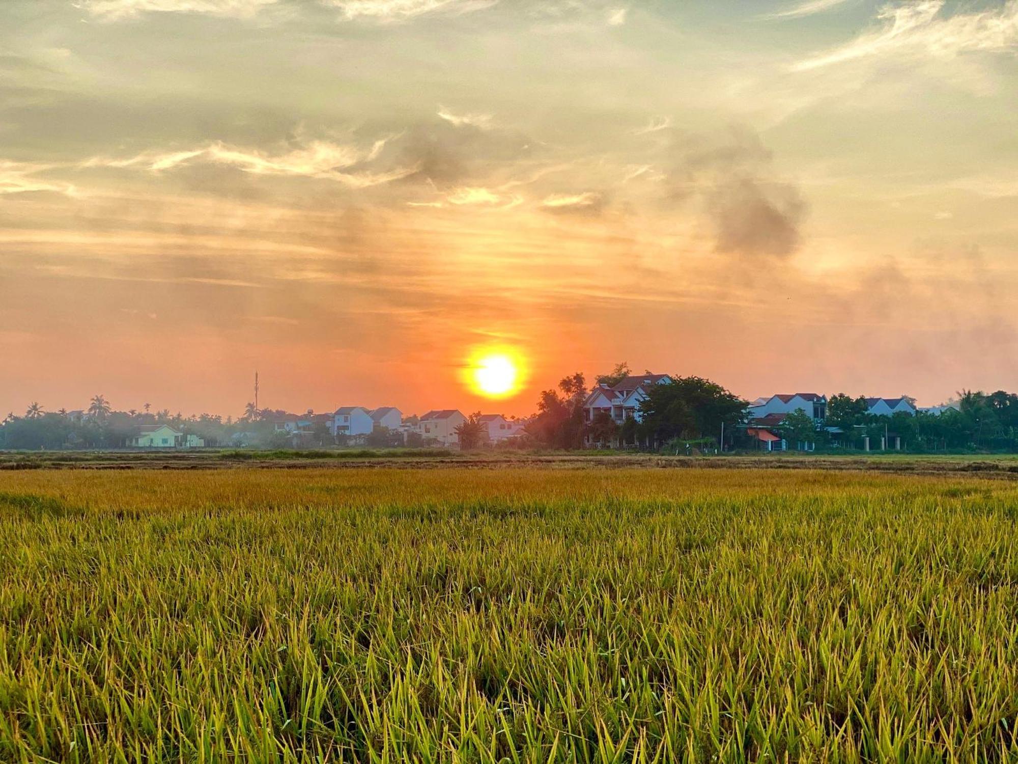 Tan Thanh Hoi An Pinus Boutique酒店 外观 照片