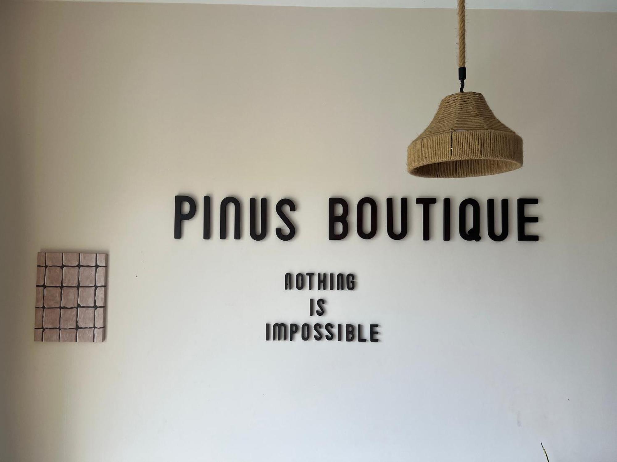 Tan Thanh Hoi An Pinus Boutique酒店 外观 照片