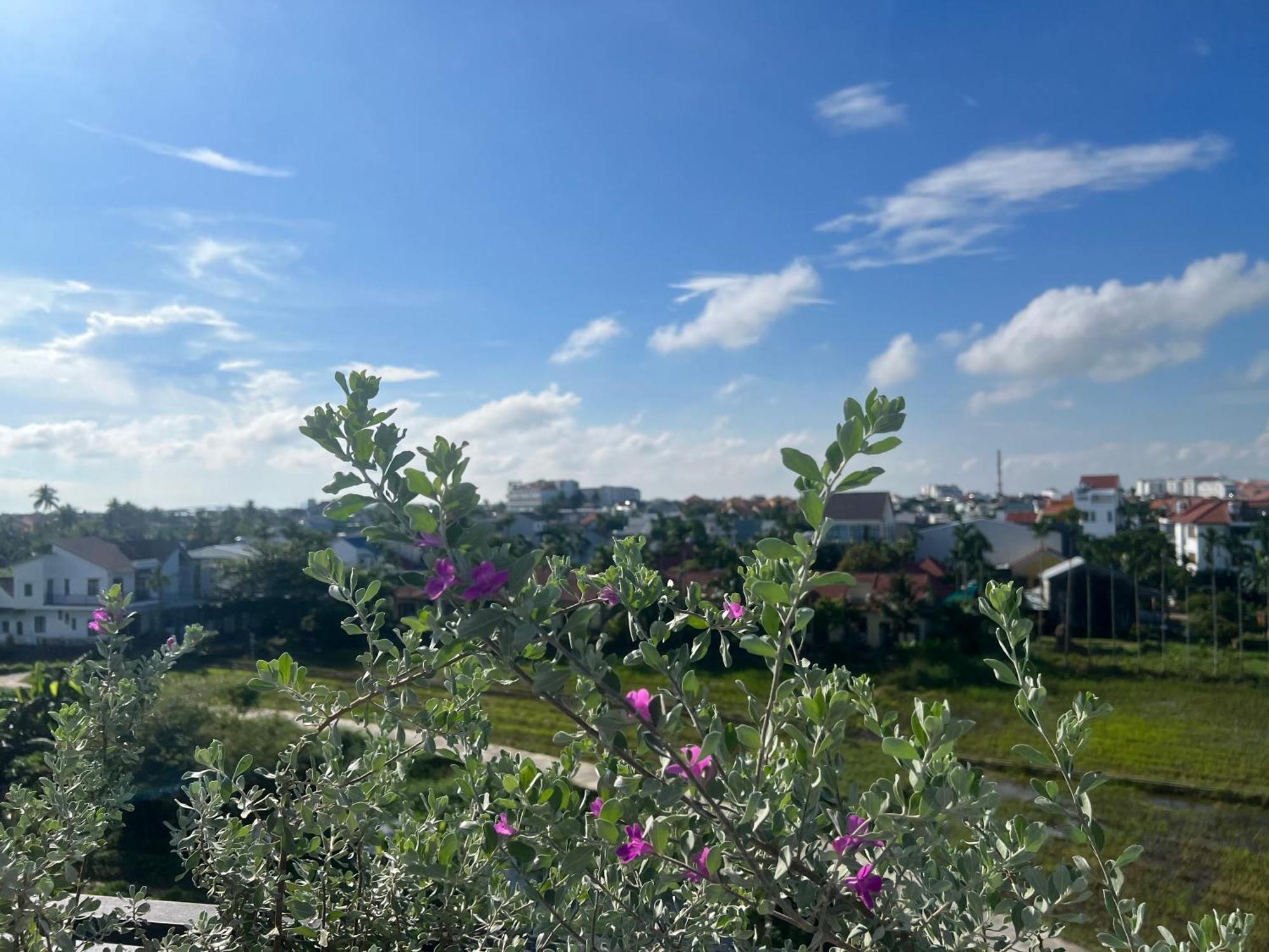 Tan Thanh Hoi An Pinus Boutique酒店 外观 照片