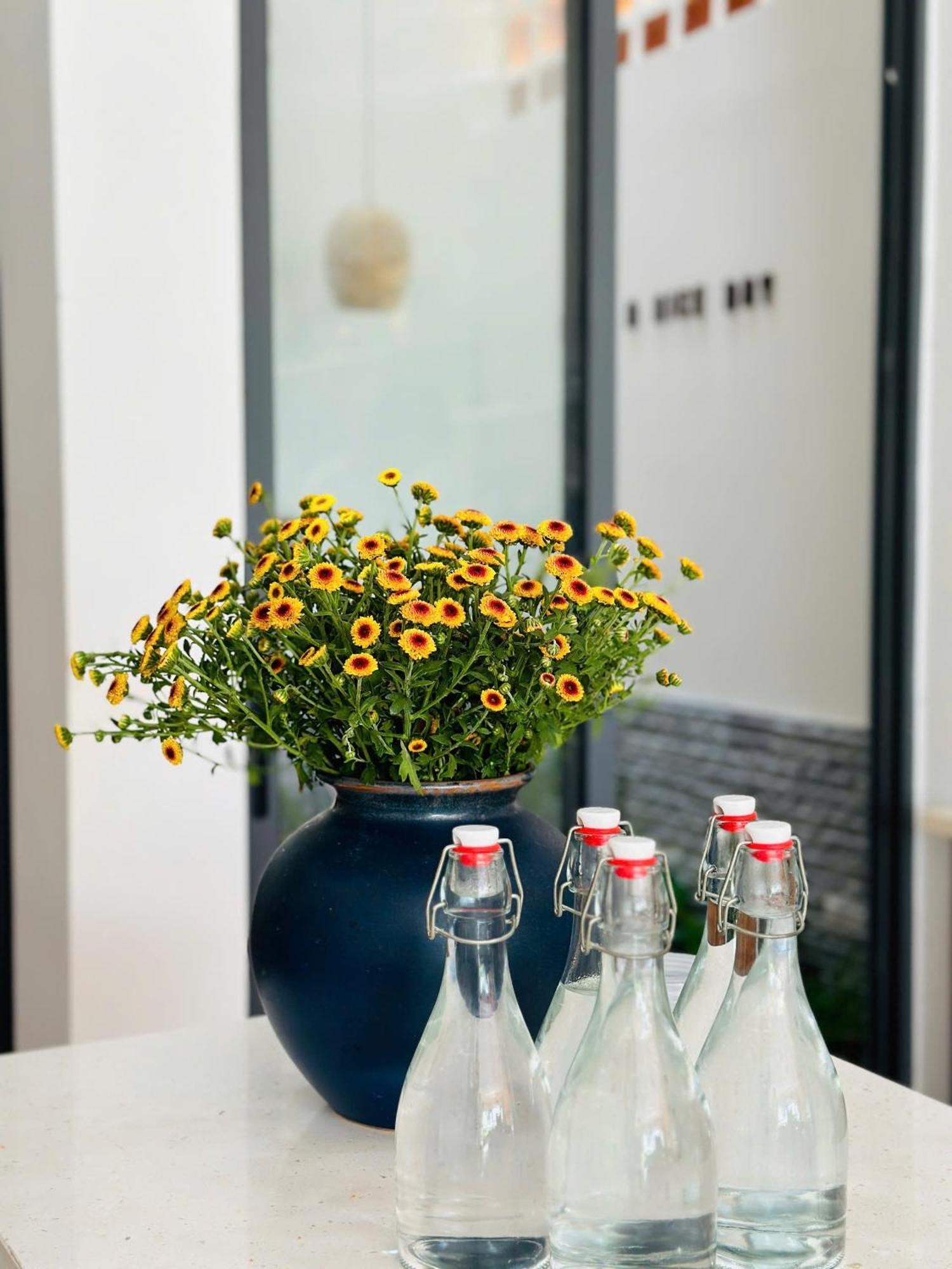 Tan Thanh Hoi An Pinus Boutique酒店 外观 照片
